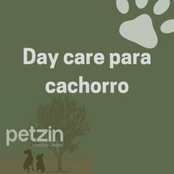Comprar o produto de Day Care para Cachorro em Itapetininga em Hoteis para Cães em Itapetininga, SP por Solutudo