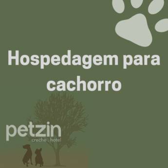 Comprar o produto de Hospedagem para Cachorro em Itapetininga em Hoteis para Cães em Itapetininga, SP por Solutudo
