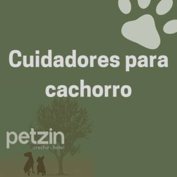 Comprar o produto de  Cuidadores para Cachorro em Itapetininga em Hoteis para Cães em Itapetininga, SP por Solutudo