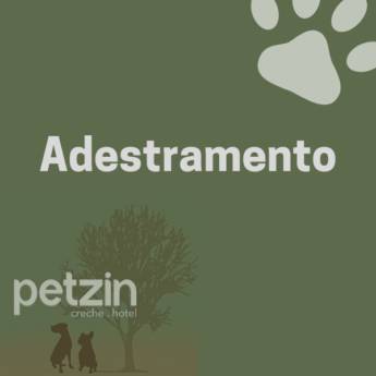 Comprar o produto de Adestramento para Cachorro em Adestramento em Itapetininga, SP por Solutudo