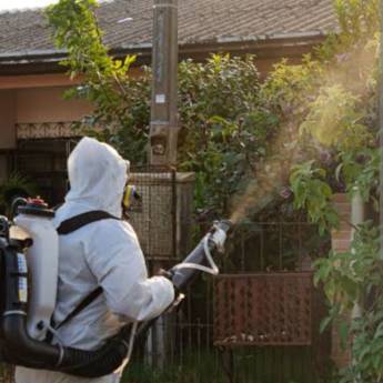 Comprar o produto de Controle de Mosquito Aedes aegypti/Mosquito da Dengue - Proteção Contra Epidemias - Indaiatuba em Dedetizadoras em Indaiatuba, SP por Solutudo