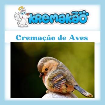 Comprar o produto de Onde Cremar Aves em Itapetininga, Araçoiaba, entre outras.  em Cemitérios e Crematórios de Animais pela empresa Kremakão - Crematório de Pequenos Animais em Itapetininga, SP por Solutudo