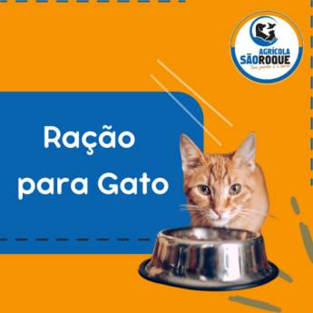 Comprar o produto de Onde comprar ração para gato em Itapetininga em Casas de Ração em Itapetininga, SP por Solutudo
