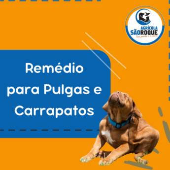 Comprar o produto de Comprar Remédio para Pulga e Carrapato em Itapetininga em Medicamentos em Itapetininga, SP por Solutudo