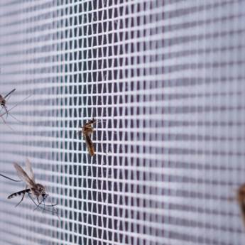 Comprar o produto de Rede de Proteção em Praia Grande: Segurança e Tranquilidade para sua Residência em Redes de Proteção e Contra Mosquitos em São Paulo, SP por Solutudo