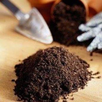 Comprar o produto de Terra Preta R$200,00 em Terra em Matinhos, PR por Solutudo