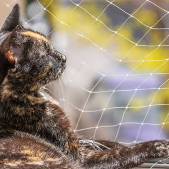 Comprar o produto de Tela de Proteção para Varanda em Salesópolis: Segurança Residencial sem Compromisso em Redes de Proteção e Contra Mosquitos em São Paulo, SP por Solutudo