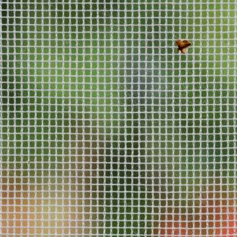 Comprar o produto de Rede de Proteção para Janela em Mauá, SP: Segurança Residencial Garantida em Redes de Proteção e Contra Mosquitos em São Paulo, SP por Solutudo