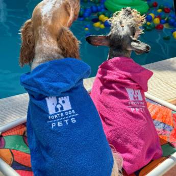 Comprar o produto de Estética Canina - Transforme a Beleza do Seu Pet em Praia Grande em Hotel e Canil em Praia Grande, SP por Solutudo