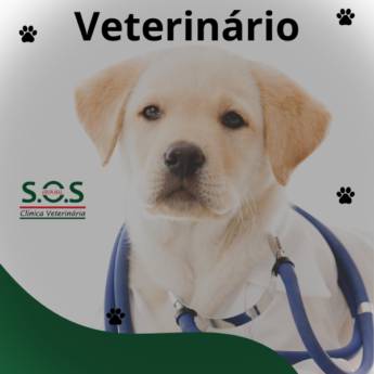 Comprar o produto de Veterinário bom em Itapetininga em Veterinário em Itapetininga, SP por Solutudo