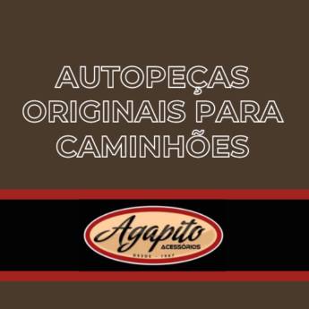 Comprar o produto de Autopeças originais para caminhões Itapetininga em Peças para Caminhão em Itapetininga, SP por Solutudo