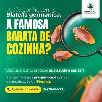 Comprar o produto de Dedetização de Baratas – Eficiência e Segurança em São Manuel/SP em Dedetização em São Manuel, SP por Solutudo