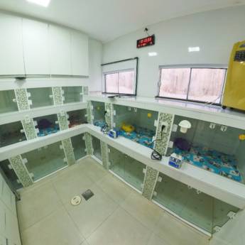 Comprar o produto de Internação Humanizada na Genari Policlínica em Itatinga: Cuidado Personalizado para seu Pet em Clínicas Veterinárias em Itatinga, SP por Solutudo