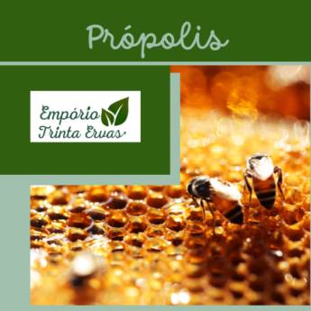 Comprar o produto de Onde Encontrar Própolis Natural em Itapetininga? em Produtos Naturais em Itapetininga, SP por Solutudo