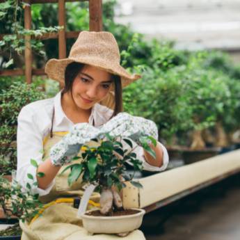Comprar o produto de Serviços de Jardinagem: Cuide do Seu Jardim com a Jard.Flor em Cesário Lange em Jardinagem em Cesário Lange, SP por Solutudo