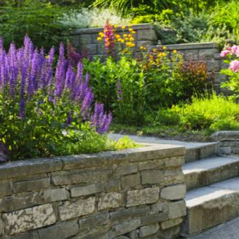 Comprar o produto de Implantação de Jardins Residenciais em Águas de Santa Bárbara - Transforme Seu Espaço Verde em Paisagismo em Iaras, SP por Solutudo Comprar o produto de Implantação de Jardins Residenciais em Águas de Santa Bárbara - Transforme Seu Espaço Verde em Paisagismo em Iaras, SP por Solutudo