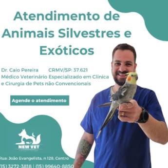 Comprar o produto de Atendimento de Animais Silvestres e Exóticos em Veterinário em Itapetininga, SP por Solutudo