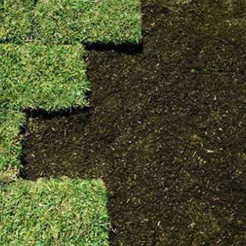 Comprar o produto de Instalação de placas de grama  em Jardinagem e Paisagismo em Botucatu, SP por Solutudo Comprar o produto de Instalação de placas de grama  em Jardinagem e Paisagismo em Botucatu, SP por Solutudo