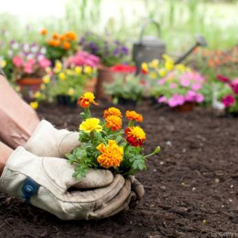 Comprar o produto de Jardinagem  em Jardinagem e Paisagismo em Botucatu, SP por Solutudo Comprar o produto de Jardinagem  em Jardinagem e Paisagismo em Botucatu, SP por Solutudo