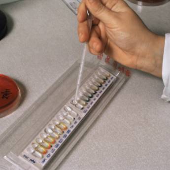 Comprar o produto de Consulta Nutricional: Análise de Exames Bioquímicos e de Imagens em Campina Grande em Nutricionistas pela empresa Veralucia Barreto Valenca em Campina Grande, PB por Solutudo