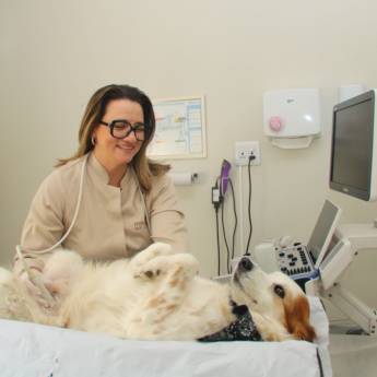 Comprar o produto de Ultrassonografia Abdominal Veterinária – Diagnóstico Confiável para Seu Pet em Avaré em Laboratórios Clínicos Veterinários em Avaré, SP por Solutudo