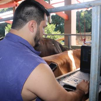 Comprar o produto de Curso de Ultrassonografia Doppler Colorido na Reprodução de Bovinos - Avanços na Diagnóstico Reprodutivo - Avaré em Treinamentos pela empresa TreinaPró em Avaré, SP por Solutudo