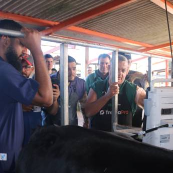 Comprar o produto de Curso de Ultrassom e Sexagem Fetal - Diagnóstico Reprodutivo Avançado - Avaré em Treinamentos pela empresa TreinaPró em Avaré, SP por Solutudo