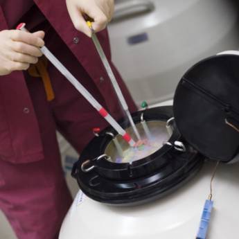 Comprar o produto de Curso de Transferência de Embriões - Reprodução Assistida Avançada - Avaré em Treinamentos pela empresa TreinaPró em Avaré, SP por Solutudo