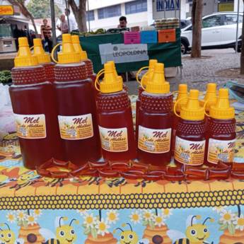 Comprar o produto de Mel de Abelhas na Feira do Produtor Rural   em Mel em Leopoldina, MG por Solutudo
