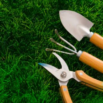 Comprar o produto de Corte de Grama - Manutenção de Alta Qualidade em Peruíbe em Jardinagem em Peruíbe, SP por Solutudo