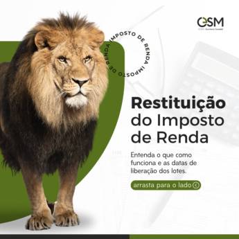 Comprar o produto de Declaração de Imposto de Renda - Simplificamos o Processo e Maximizamos Seus Benefícios em Contabilidade em São Manuel, SP por Solutudo