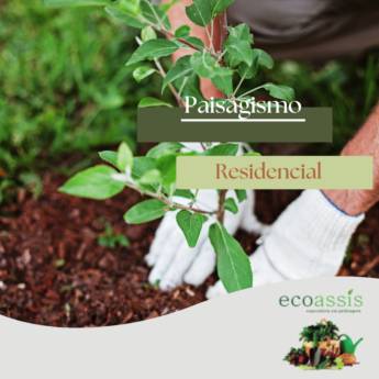 Comprar o produto de Paisagismo Residencial - Beleza e Funcionalidade para seu Lar - Assis/SP em Jardinagem em Assis, SP por Solutudo