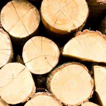 Comprar o produto de Madeireiras de Confiança e Qualidade - Ninho Verde II Eco Residence em Madeireiras em Ninho Verde II Eco Residence, SP por Solutudo