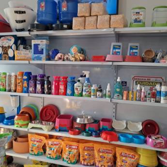 Comprar o produto de Itens Pet Variados em Acessórios em Mineiros, GO por Solutudo