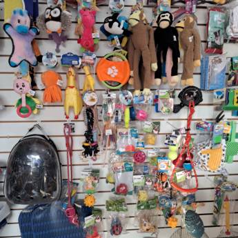 Comprar o produto de Brinquedos para Pet em Brinquedos em Mineiros, GO por Solutudo