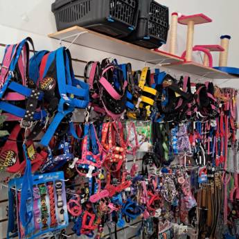 Comprar o produto de Coleiras e Guias em Guias e Coleiras em Mineiros, GO por Solutudo