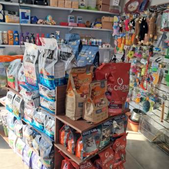 Comprar o produto de Rações Diversas em Rações para Cães e Gatos em Mineiros, GO por Solutudo