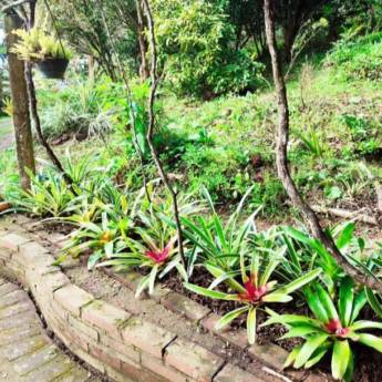 Comprar o produto de Sustentabilidade e Conservação - Jardins Ecológicos e Duradouros em Santa Cruz do Sul, RS em Jardinagem e Paisagismo em Santa Cruz do Sul, RS por Solutudo