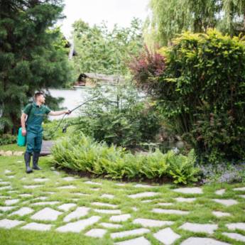 Comprar o produto de Dedetização Residencial e Comercial: Proteção e Conforto em Riviera de Santa Cristina XIII em Jardinagem e Paisagismo em Riviera de Santa Cristina III, SP por Solutudo