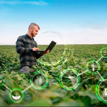 Comprar o produto de Gestão de Agronegócio  em Contabilidade em Botucatu, SP por Solutudo