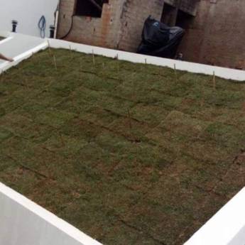 Comprar o produto de Plantio de gramas em Jardinagem e Paisagismo em Botucatu, SP por Solutudo Comprar o produto de Plantio de gramas em Jardinagem e Paisagismo em Botucatu, SP por Solutudo