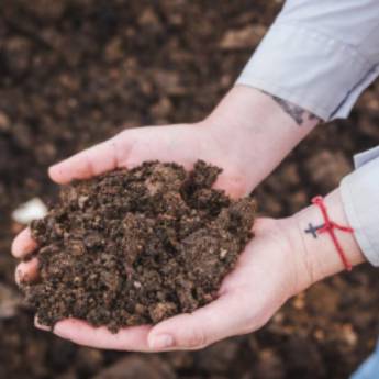Comprar o produto de Adubação  em Jardinagem e Paisagismo em Botucatu, SP por Solutudo Comprar o produto de Adubação  em Jardinagem e Paisagismo em Botucatu, SP por Solutudo