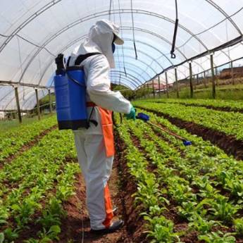 Comprar o produto de Aplicação de defensivos agrícola (pragas e doenças de plantas e controle de plantas daninhas) em Jardinagem e Paisagismo em Botucatu, SP por Solutudo Comprar o produto de Aplicação de defensivos agrícola (pragas e doenças de plantas e controle de plantas daninhas) em Jardinagem e Paisagismo em Botucatu, SP por Solutudo