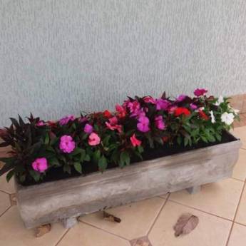 Comprar o produto de Vendas de Plantas e Flores em Jardinagem e Paisagismo em Botucatu, SP por Solutudo Comprar o produto de Vendas de Plantas e Flores em Jardinagem e Paisagismo em Botucatu, SP por Solutudo