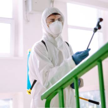 Comprar o produto de Desinsetização em Dedetizadoras em Cachoeiro de Itapemirim, ES por Solutudo