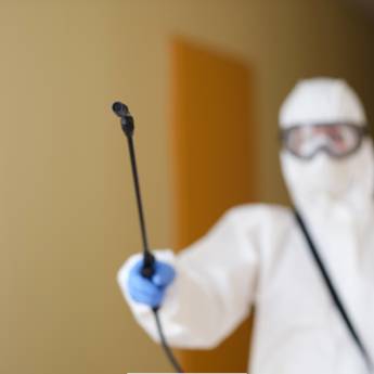 Comprar o produto de Desratização em Dedetizadoras em Cachoeiro de Itapemirim, ES por Solutudo