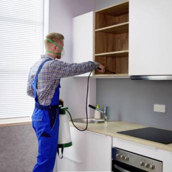 Comprar o produto de Descupinização em Dedetizadoras em Cachoeiro de Itapemirim, ES por Solutudo