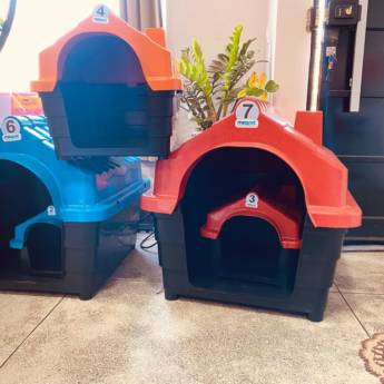 Comprar o produto de Casinhas  em Casinhas em Mineiros, GO por Solutudo