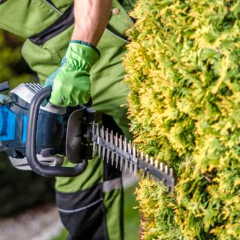 Comprar o produto de Jardinagem de Qualidade para Ambientes Verdes e Bem Cuidados em Florianópolis em Jardinagem em Florianópolis, SC por Solutudo