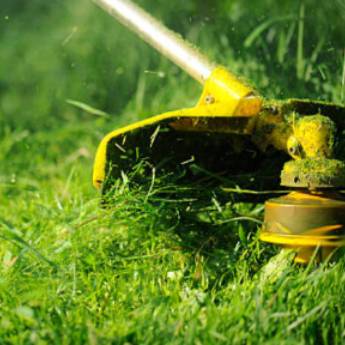 Comprar o produto de Limpeza de lotes  em Limpeza Pós-Obra em Botucatu, SP por Solutudo